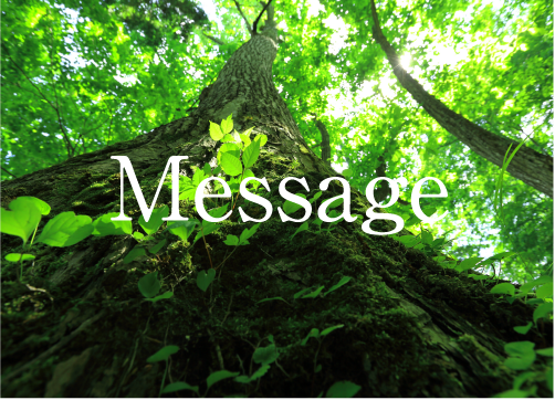 メッセージ